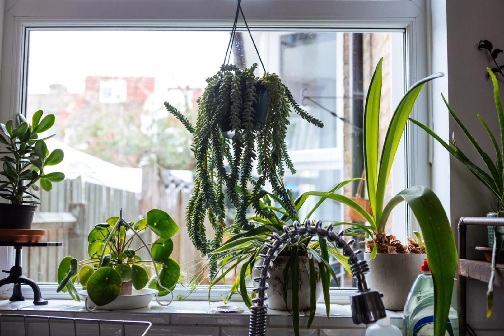 Unique Private Apartment W/ Easy Access To Central London Eksteriør billede